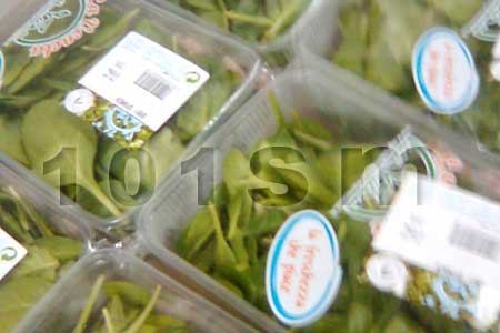 <b>(缺) 嫩菠菜BABY SPINAGE</b><br>231015<br>100公克