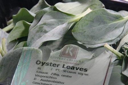 <b>生蠔葉Oysters leaf*需預訂</b><BR>231061<li>60g/約50葉</li>專人洽詢價格