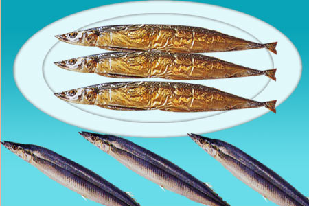 <b>冷凍秋刀魚</b><BR>1410511<BR><li>3公斤<br>