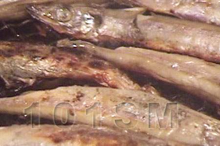 <b>(風乾)柳葉魚</b><BR>3213041<li>一包(24尾)適合~碳烤