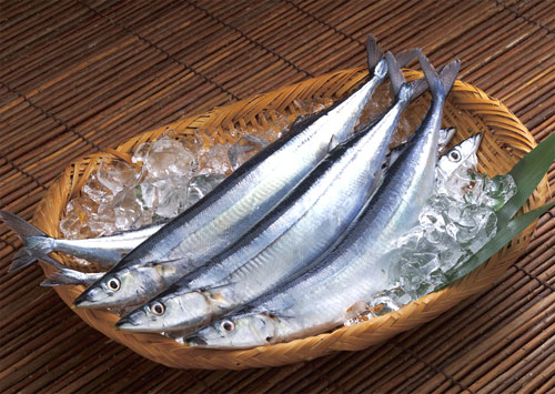 <b>北海道(冰鮮)秋刀魚</b><br>1710071<li>公斤計價<br>