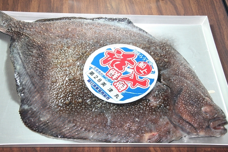 <b>日本生鮮鮫鰈</b><li>依實重<li>100g