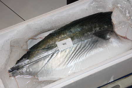 <b>日本(冰鮮)鰤魚清(青魽)</b><li>1710251<li>一包(約1.8k)依.實重計價
