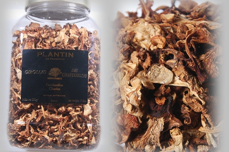 <b>乾燥黃菇Dried Chanterelle Mushrooms</b><BR>255031<BR>小包裝(50公克)<li>
