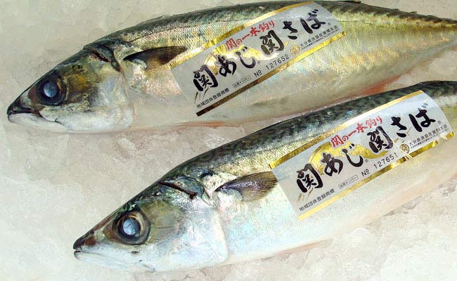 <b>日本鯖魚さば</b><BR>1710091<li>依實重(公斤)計價