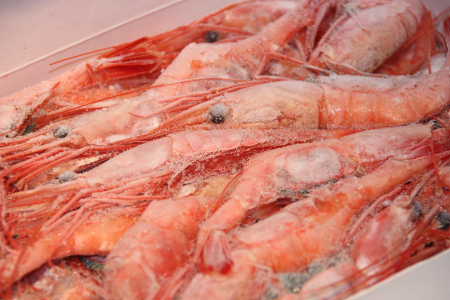 <b>帶殼甜蝦</b><BR>1620031<li>一盒 (1公斤±5%)